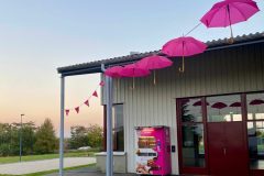 Photos-pour-les-voeux-2024-12