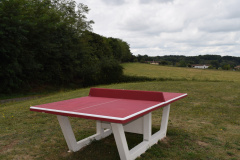 Table-Ping-pong-4